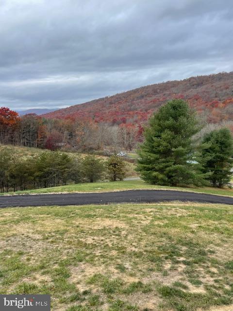 65 Cyprus Road Warm Springs, VA 24484 - Photo 40 of 40