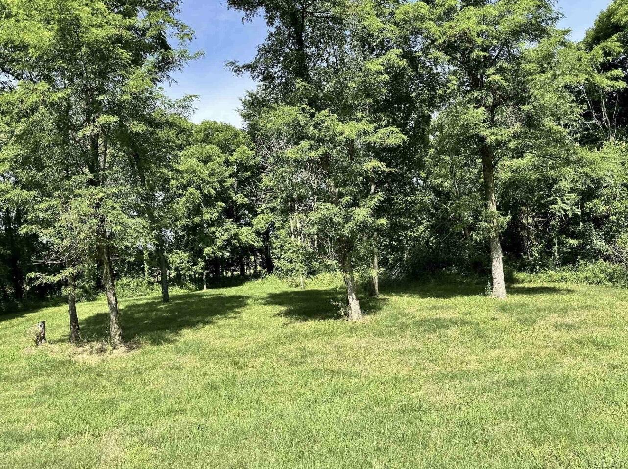 2507 South Waldron Road Hudson, MI 49247 - Photo 11 of 11 IMG_8831