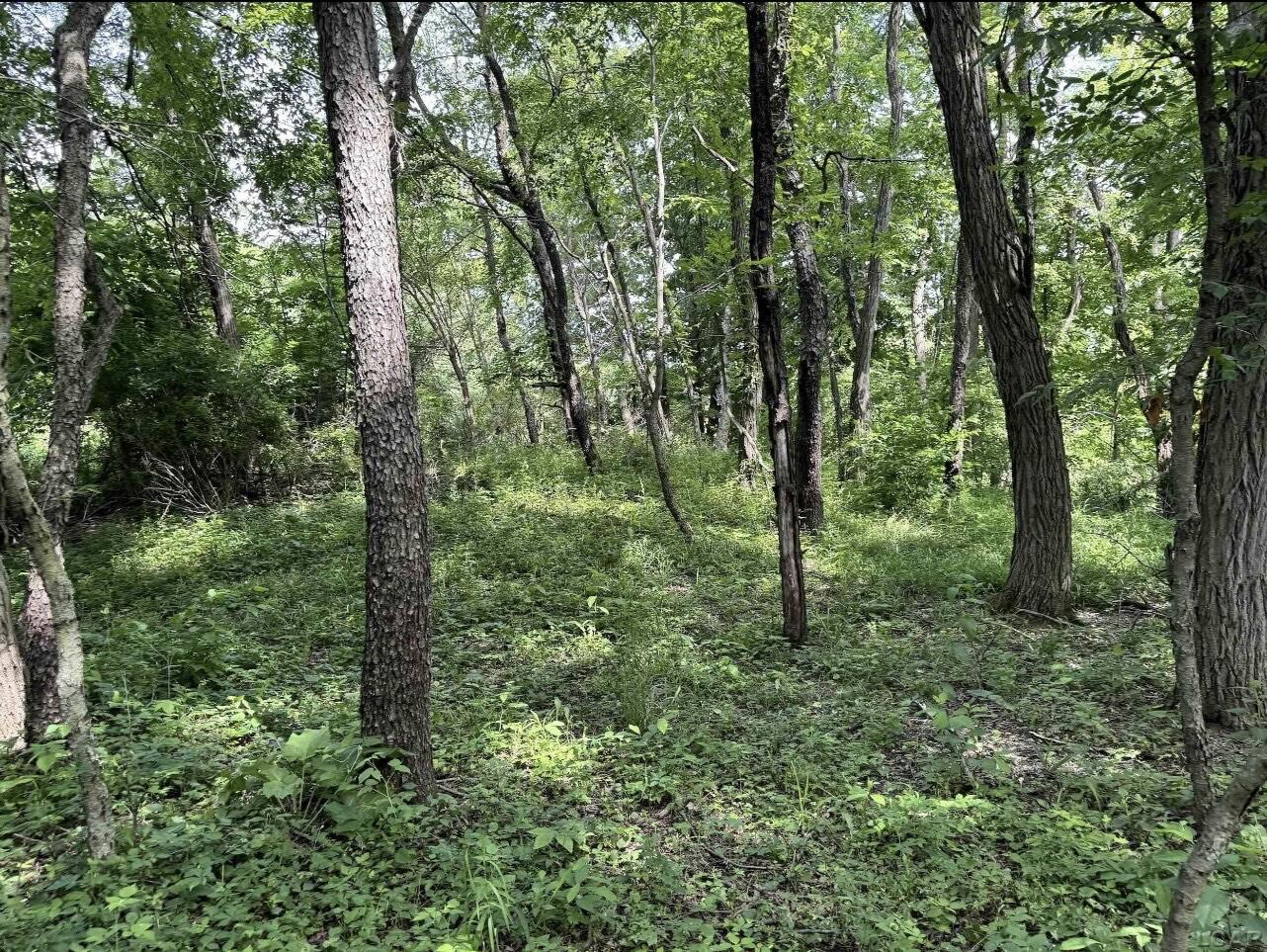 2507 South Waldron Road Hudson, MI 49247 - Photo 4 of 11 IMG_8825