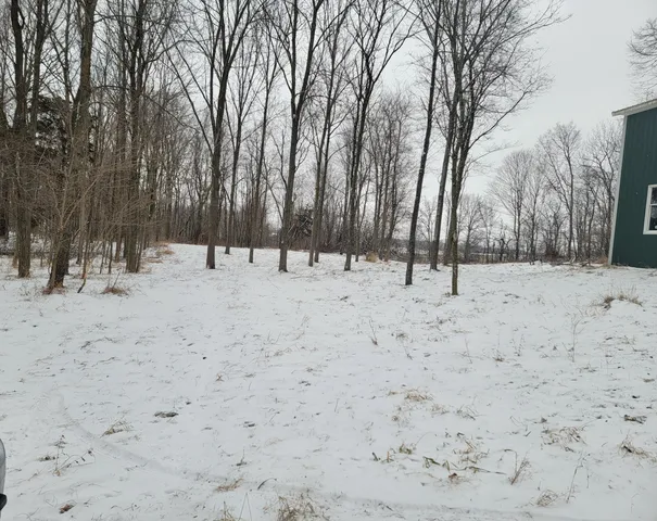 $123,000 | 2507 South Waldron Road, Hudson, MI 49247