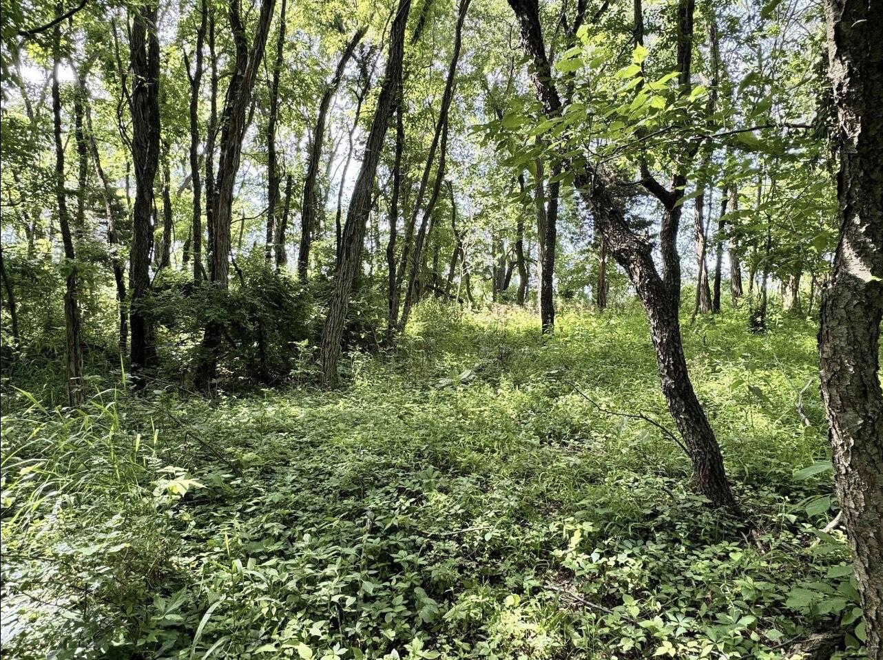 2507 South Waldron Road Hudson, MI 49247 - Photo 6 of 11 IMG_8827