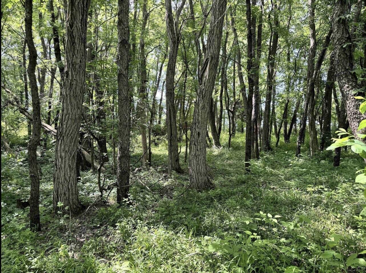 2507 South Waldron Road Hudson, MI 49247 - Photo 8 of 11 IMG_8829