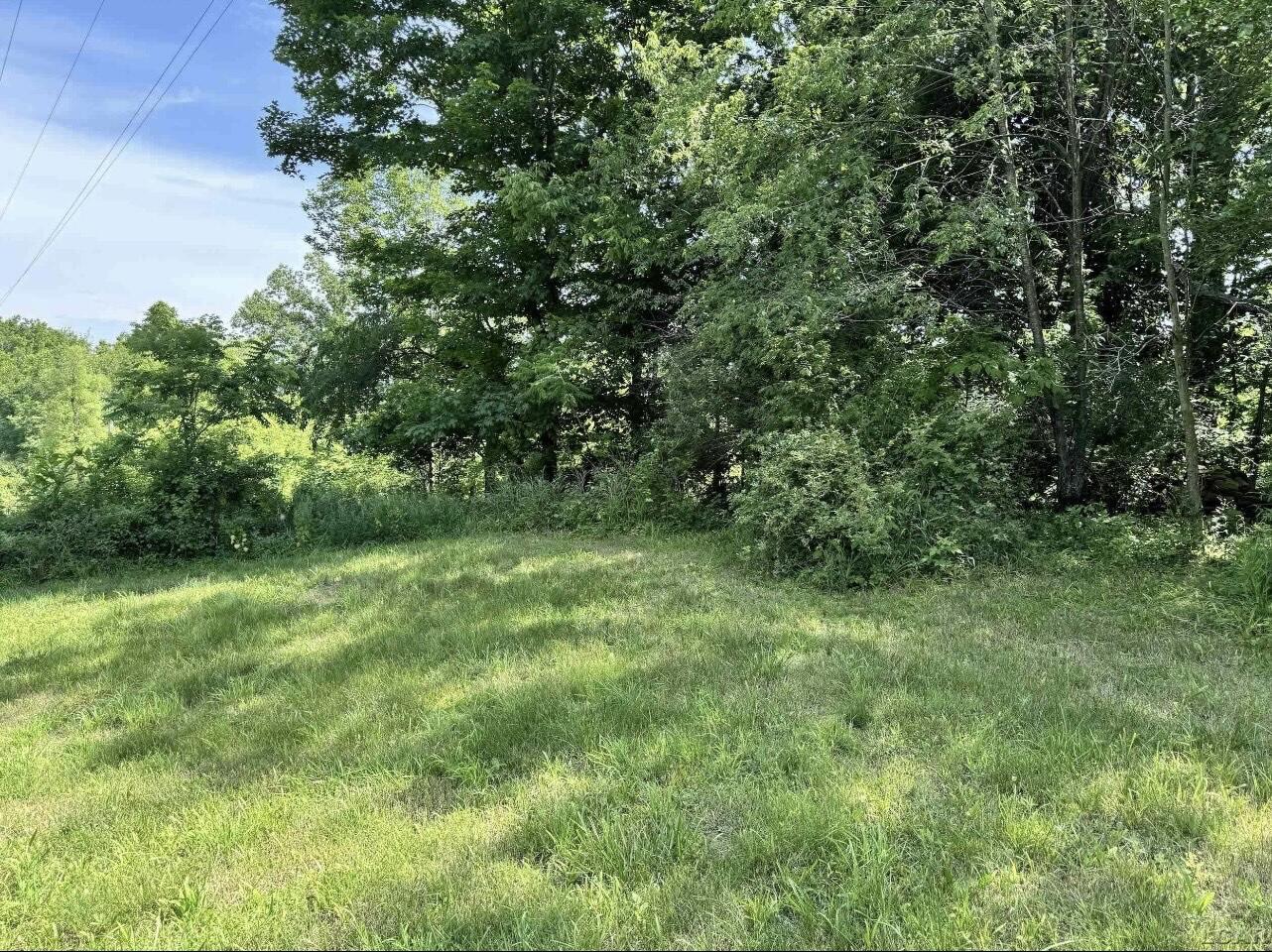 2507 South Waldron Road Hudson, MI 49247 - Photo 9 of 11 IMG_8833