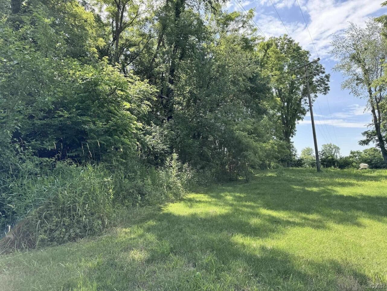 2507 South Waldron Road Hudson, MI 49247 - Photo 10 of 11 IMG_8834