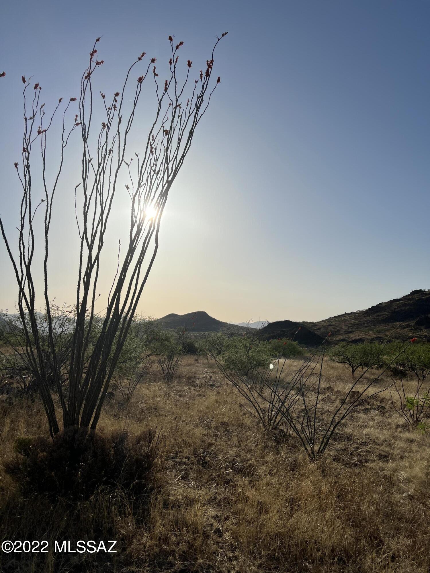 16 Shadow Crest, Unit 83 Rio Rico, AZ 85648 - Photo 6 of 8