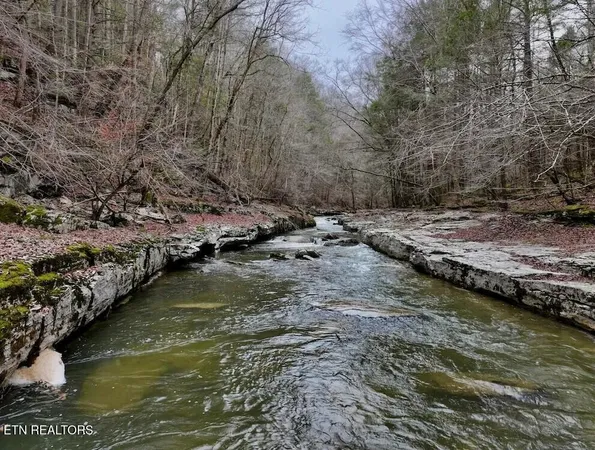 $109,900 | 7.08-ac Hollow Creek Lane, Clarkrange, TN 38553