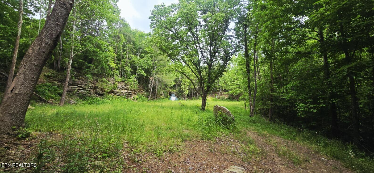 1095 Stanley Creek Road Oneida, TN 37841 - Photo 47 of 57 20260519_113822