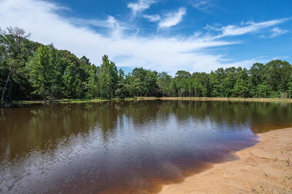 8079 Rd Ben Wheeler Tx 75754 Road Ben Wheeler, TX 75754 - Photo 28 of 37 a view of a lake