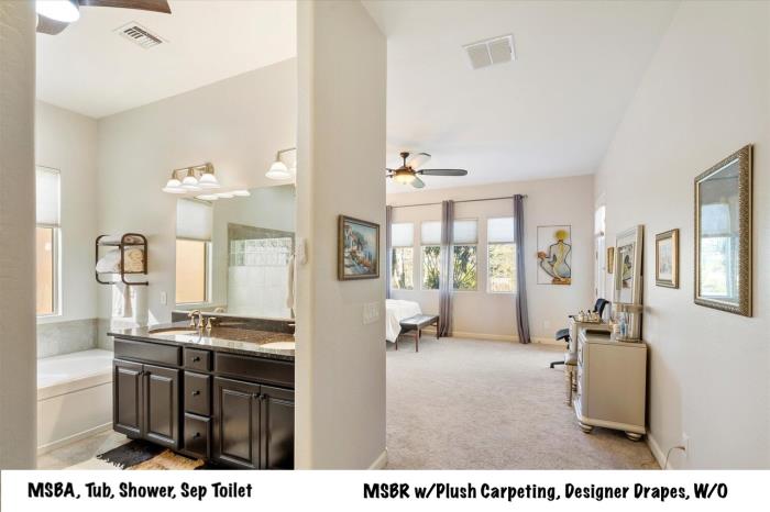 1142 East Bajor Street Gilbert, AZ 85298 - Photo 11 of 12
