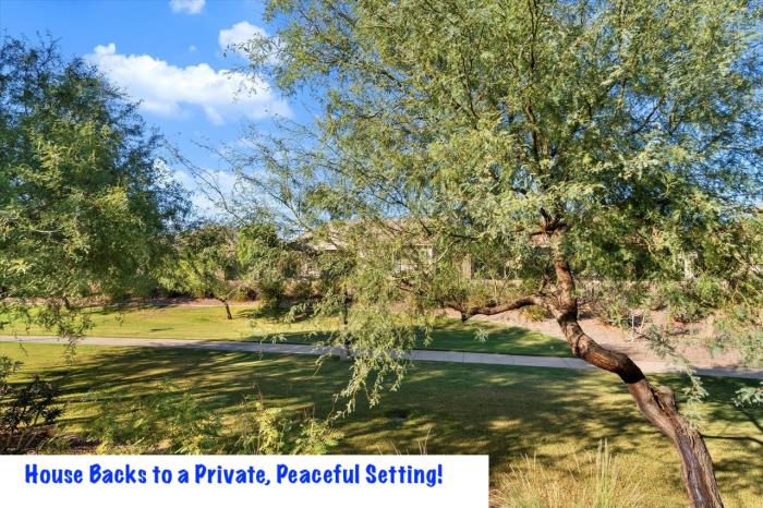 1142 East Bajor Street Gilbert, AZ 85298 - Photo 10 of 12