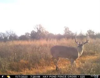 $518,000 | 0 Northeast 63rd Avenue, Trenton, MO 64683