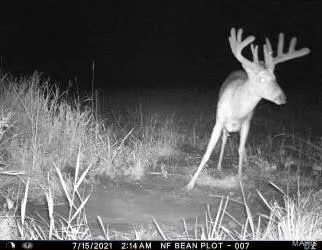 $518,000 | 0 Northeast 63rd Avenue, Trenton, MO 64683