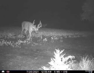 $518,000 | 0 Northeast 63rd Avenue, Trenton, MO 64683