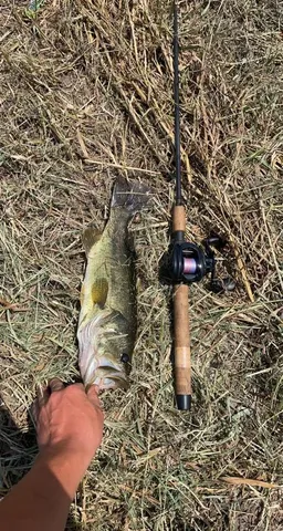 $518,000 | 0 Northeast 63rd Avenue, Trenton, MO 64683