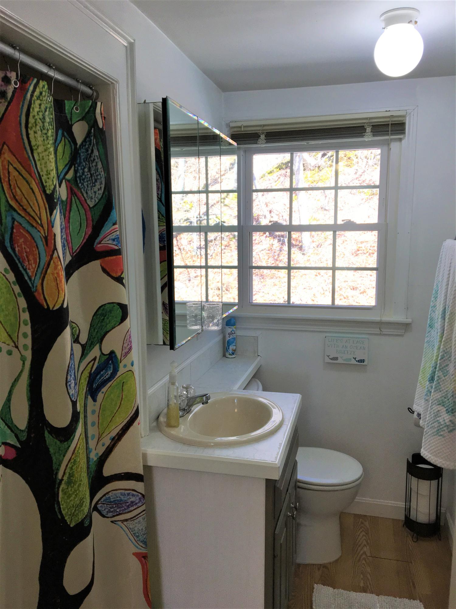 238 Pimlico Pond Road Mashpee, MA 02649 - Photo 20 of 35 18 jones