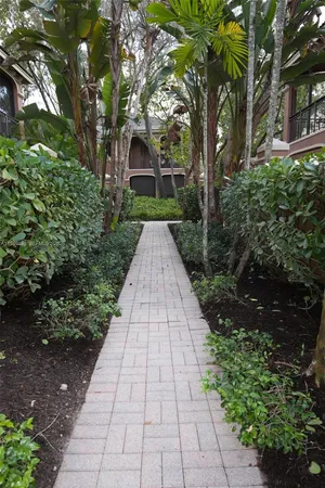 a view of a pathway with a pathway