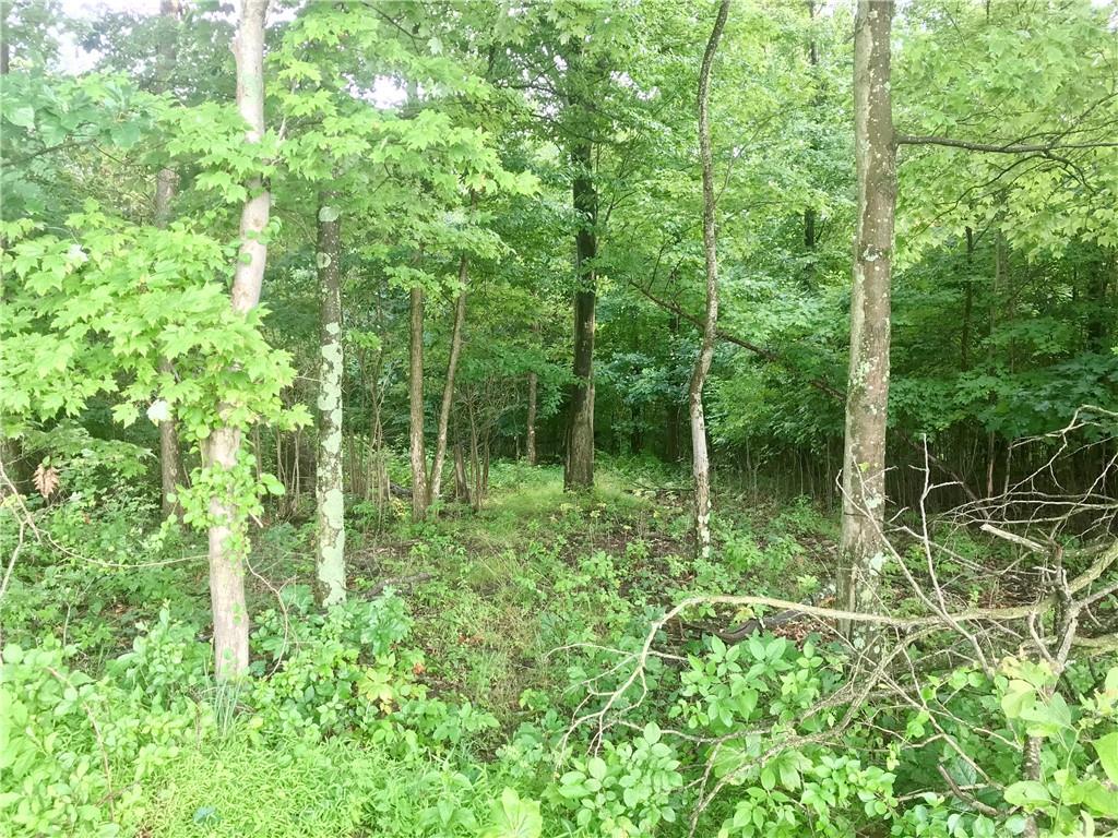 0 Palko Road Saltsburg, PA 15681 - Photo 10 of 23 Gallery Image 10