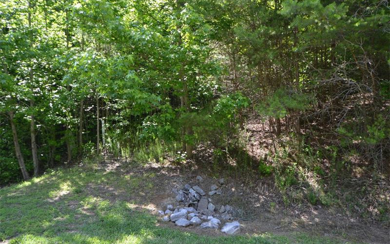Lot 1 Sharp Mountain Parkway Jasper, GA 30143 - Photo 1 of 1 a view of a forest with a tree