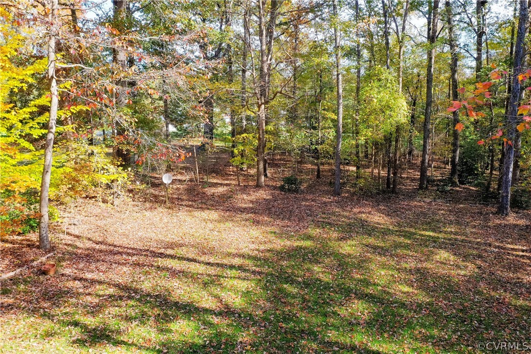 1790 Dorset Ridge Loop Powhatan, VA 23139 - Photo 42 of 49 Gallery Image 42