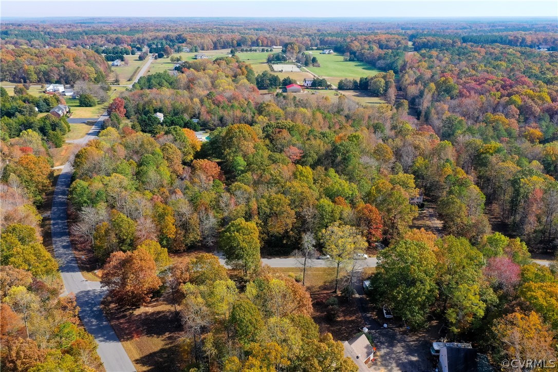 1790 Dorset Ridge Loop Powhatan, VA 23139 - Photo 46 of 49 Gallery Image 46