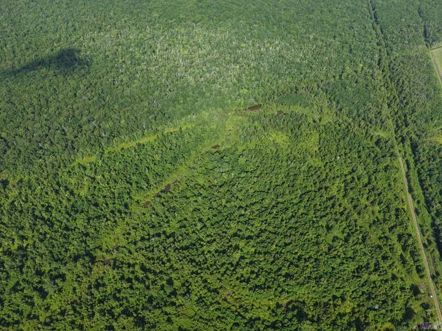 $4,033,800 | 3672 Gayden Road, Batchelor, LA 70715