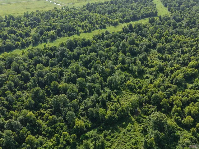 $4,033,800 | 3672 Gayden Road, Batchelor, LA 70715