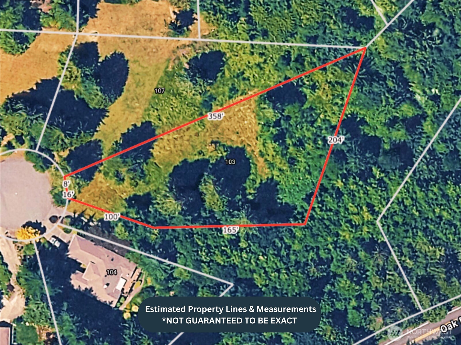 103 Wells Ridge Court Port Ludlow, WA 98365 - Photo 11 of 18 a view of a flower in a garden