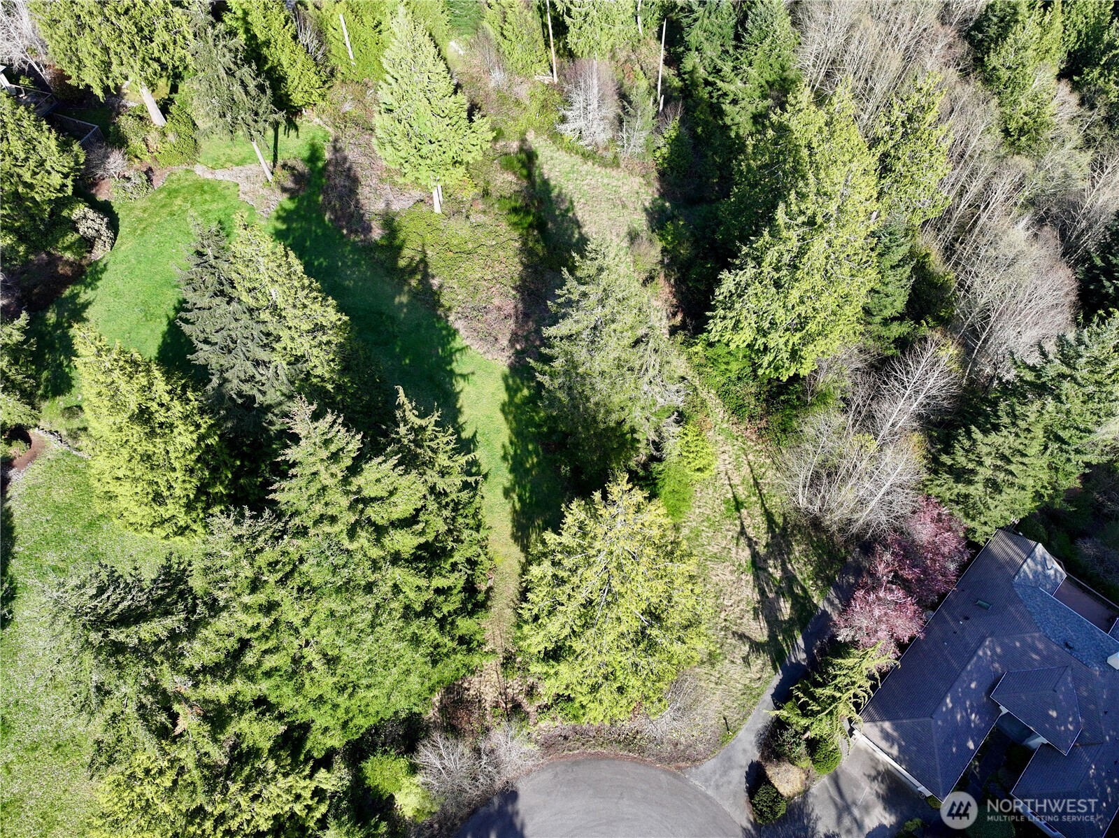 103 Wells Ridge Court Port Ludlow, WA 98365 - Photo 13 of 18 a view of a garden with plants
