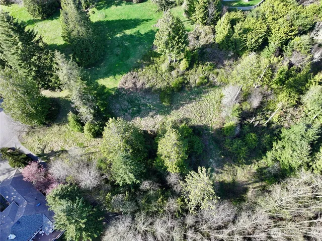 a view of a garden with plants