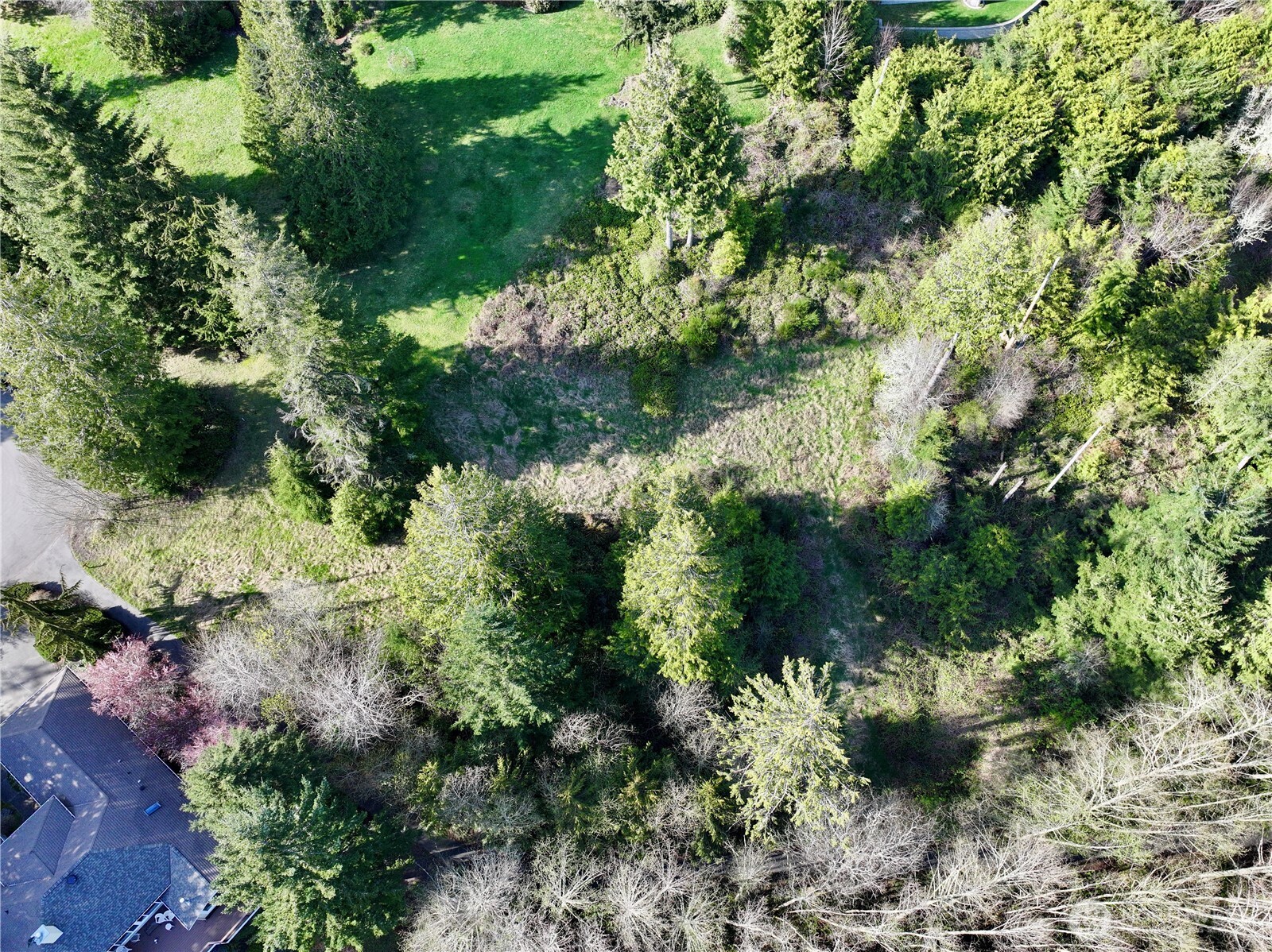 103 Wells Ridge Court Port Ludlow, WA 98365 - Photo 14 of 18 a view of a garden with plants
