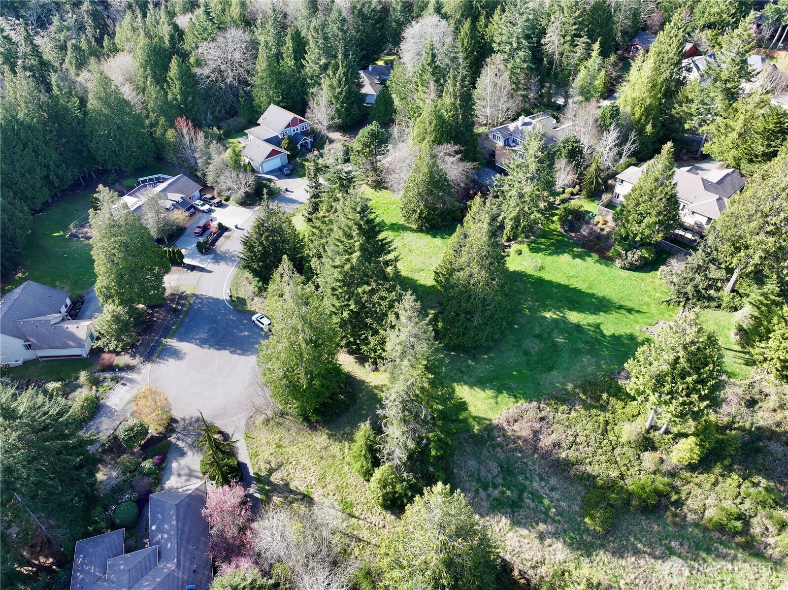 103 Wells Ridge Court Port Ludlow, WA 98365 - Photo 15 of 18 a view of a garden with plants and flowers