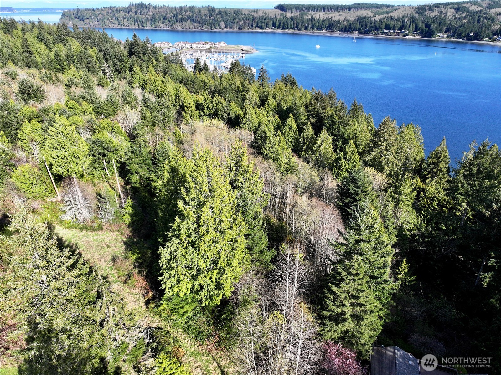 103 Wells Ridge Court Port Ludlow, WA 98365 - Photo 16 of 18 a view of a lake with a yard