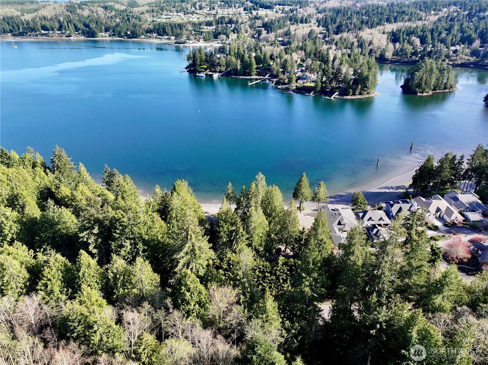 103 Wells Ridge Court Port Ludlow, WA 98365 - Photo 17 of 18 an aerial view of residential houses with outdoor space and lake view