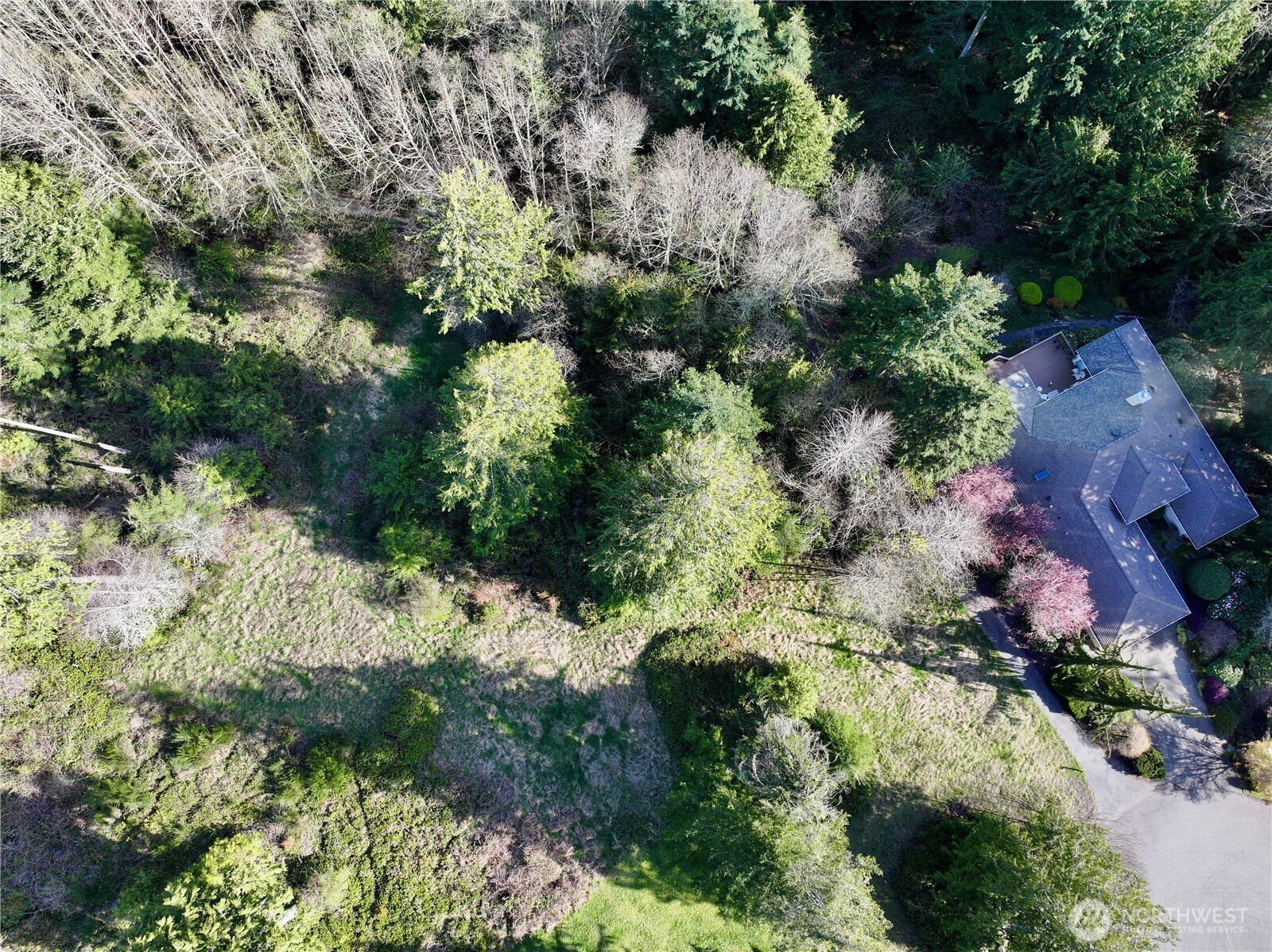 103 Wells Ridge Court Port Ludlow, WA 98365 - Photo 4 of 18 a view of a yard with plants and large trees
