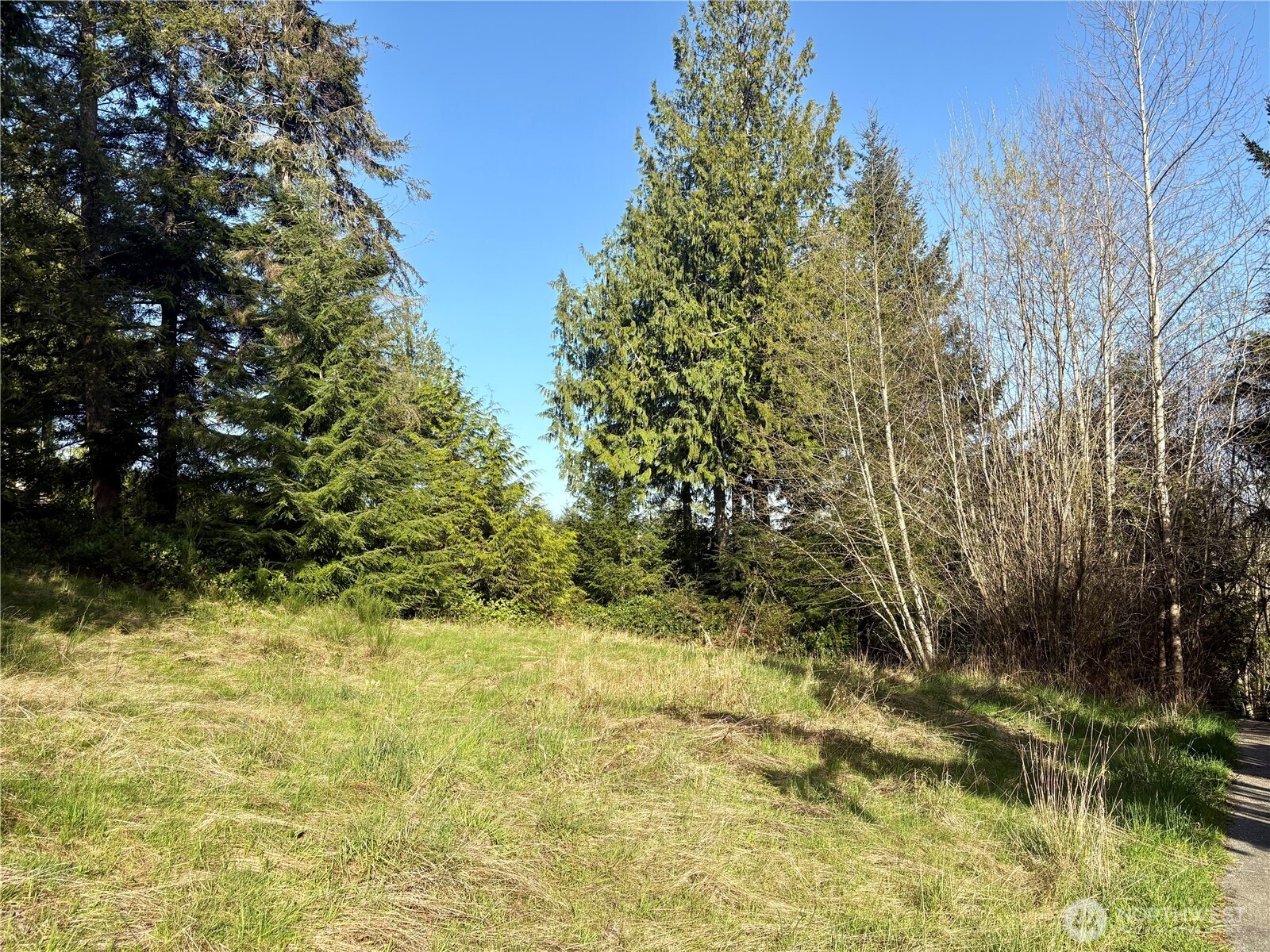 103 Wells Ridge Court Port Ludlow, WA 98365 - Photo 5 of 18 a view of a yard with trees