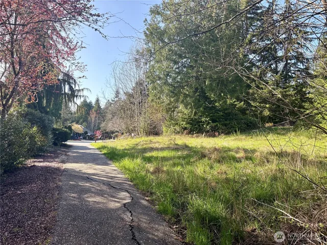 a view of yard with green space