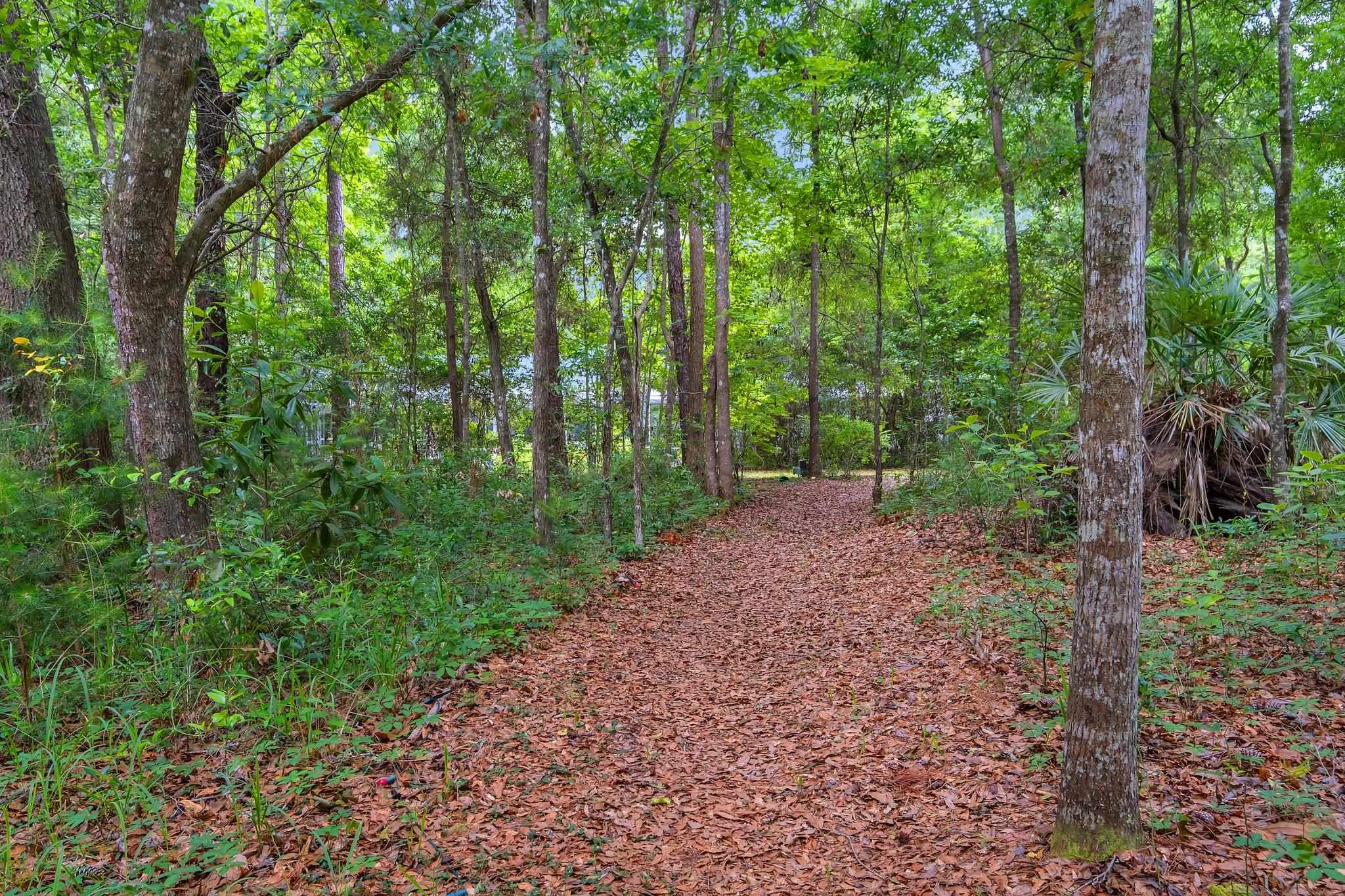 134 Small Pond Road Havana, FL 32333 - Photo 36 of 37