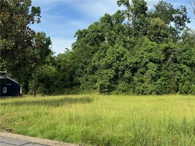 $15,000 | 32882 Lower Rome Road, Springfield, LA 70462