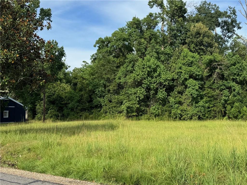 32882 Lower Rome Road Springfield, LA 70462 - Photo 2 of 6