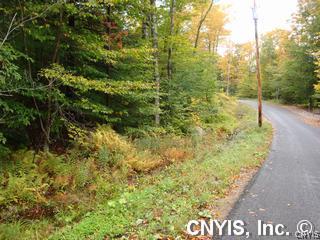 0 Capron Road Woodgate, NY 13494 - Photo 1 of 1 Exterior Front
