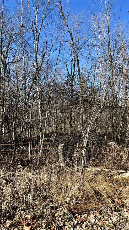 5841 Wendt Road Hope, MI 48628 - Photo 42 of 49 Gallery Image 42