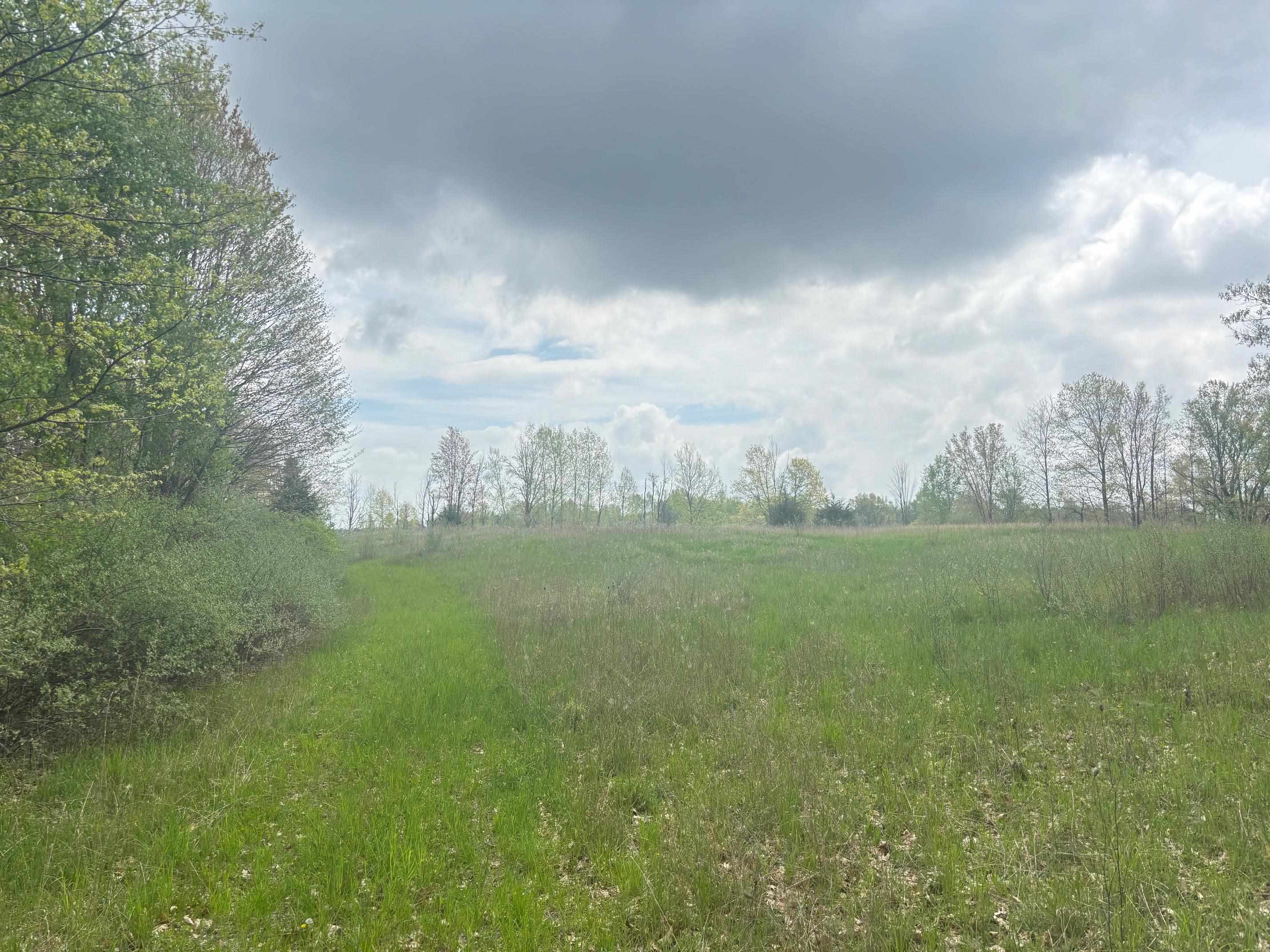 Tbd Neff Road Edmore, MI 48829 - Photo 12 of 12