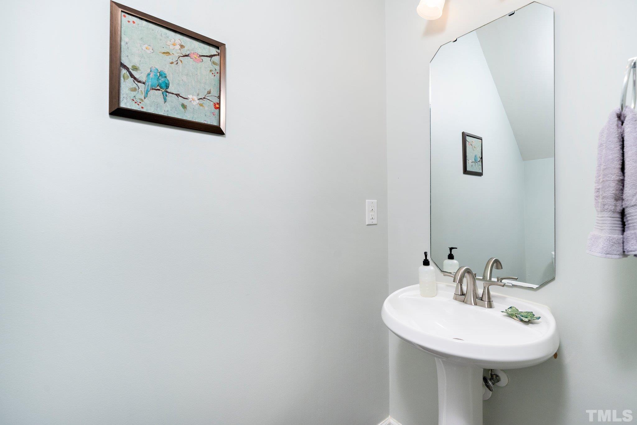 4114 Brenmar Lane Durham, NC 27713 - Photo 5 of 13 a bathroom with a sink and a mirror