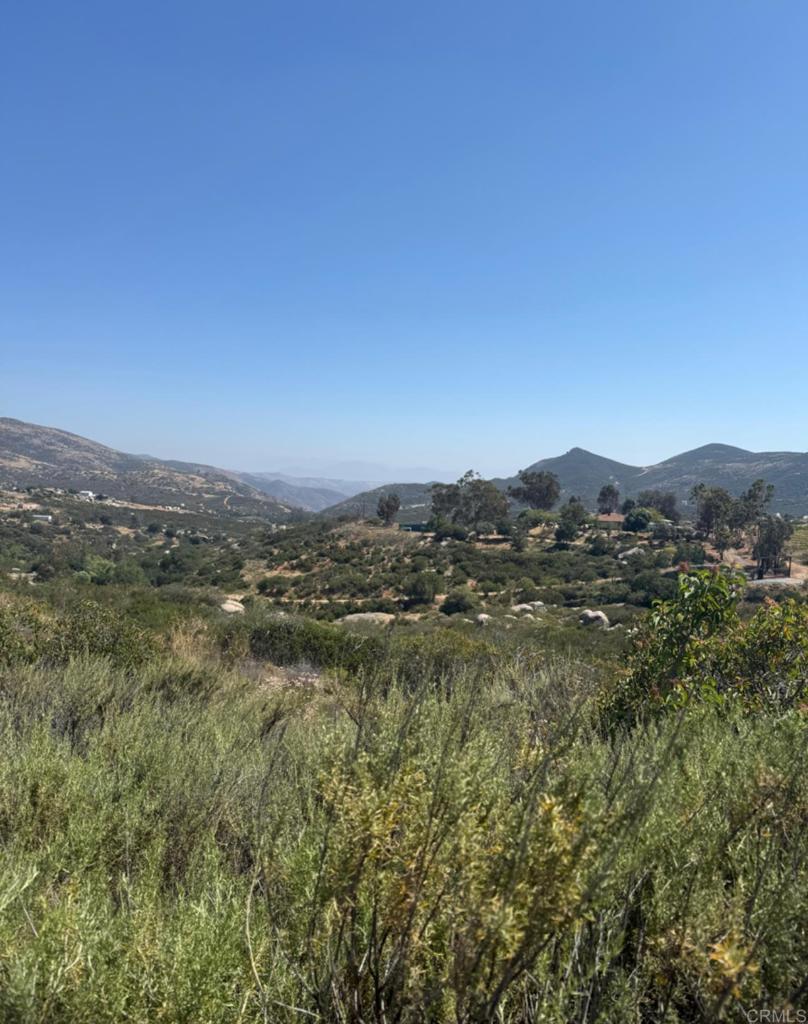 9 Campo Road Dulzura, CA 91917 - Photo 11 of 13 a view of a city with lush green forest