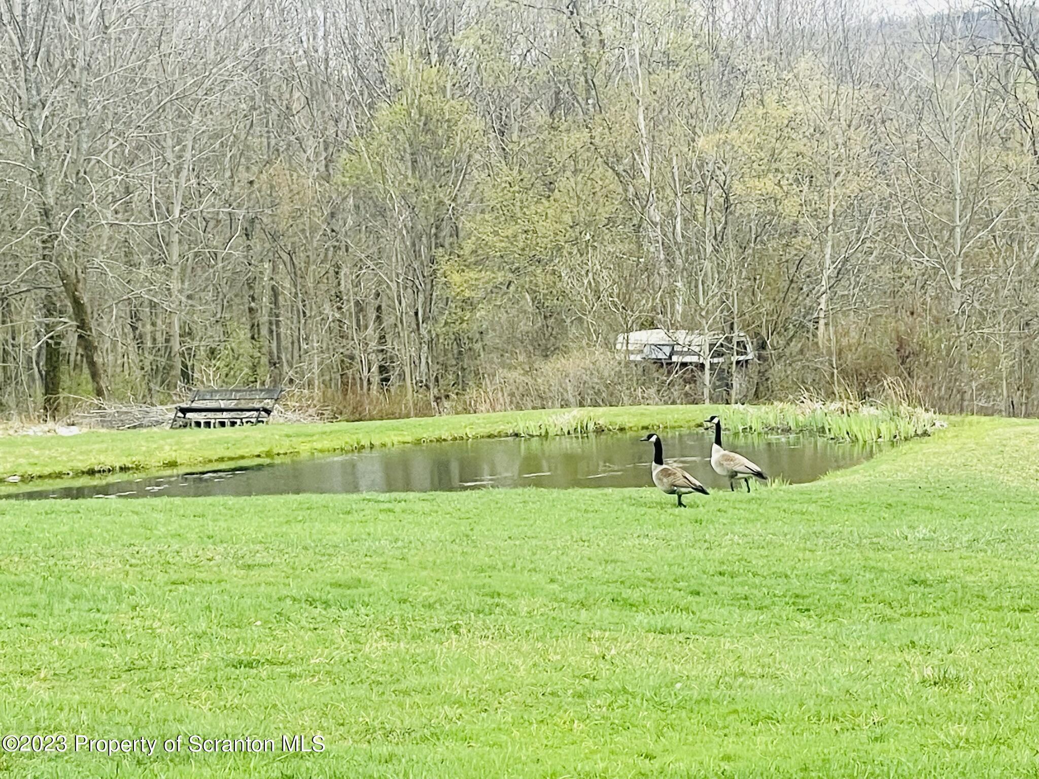 176 Stack Road Thompson, PA 18465 - Photo 41 of 53 a view of a park