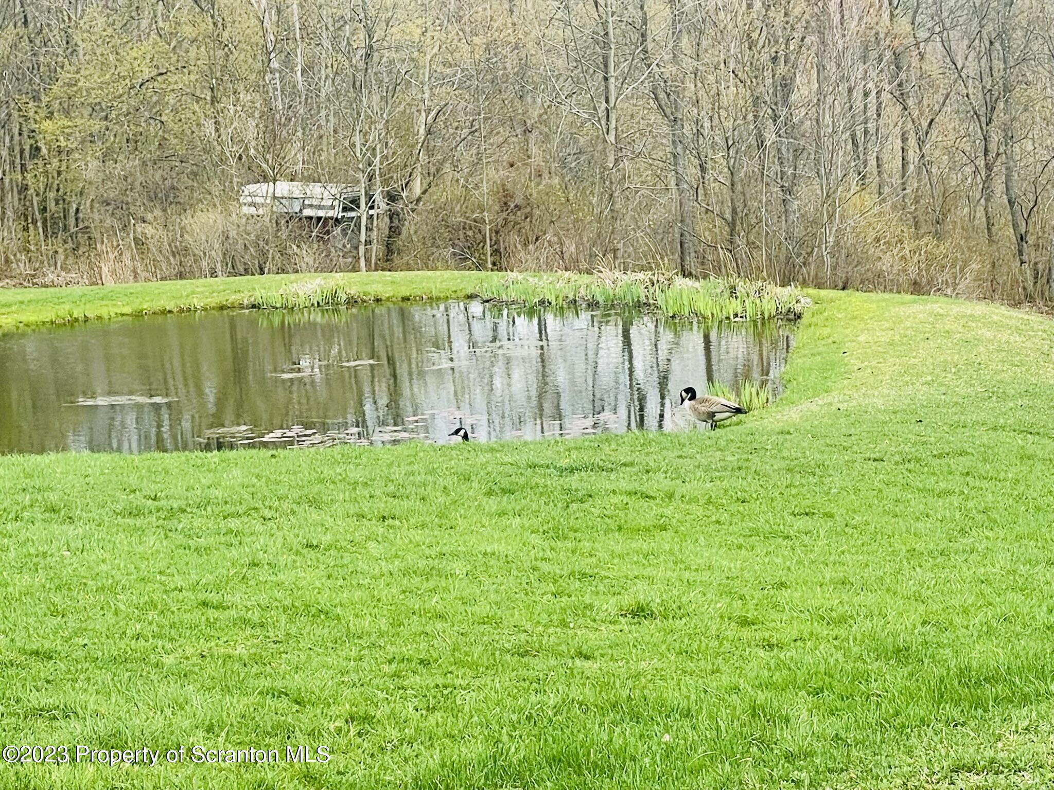 176 Stack Road Thompson, PA 18465 - Photo 42 of 53 a backyard of a house with lots of green space and lake view