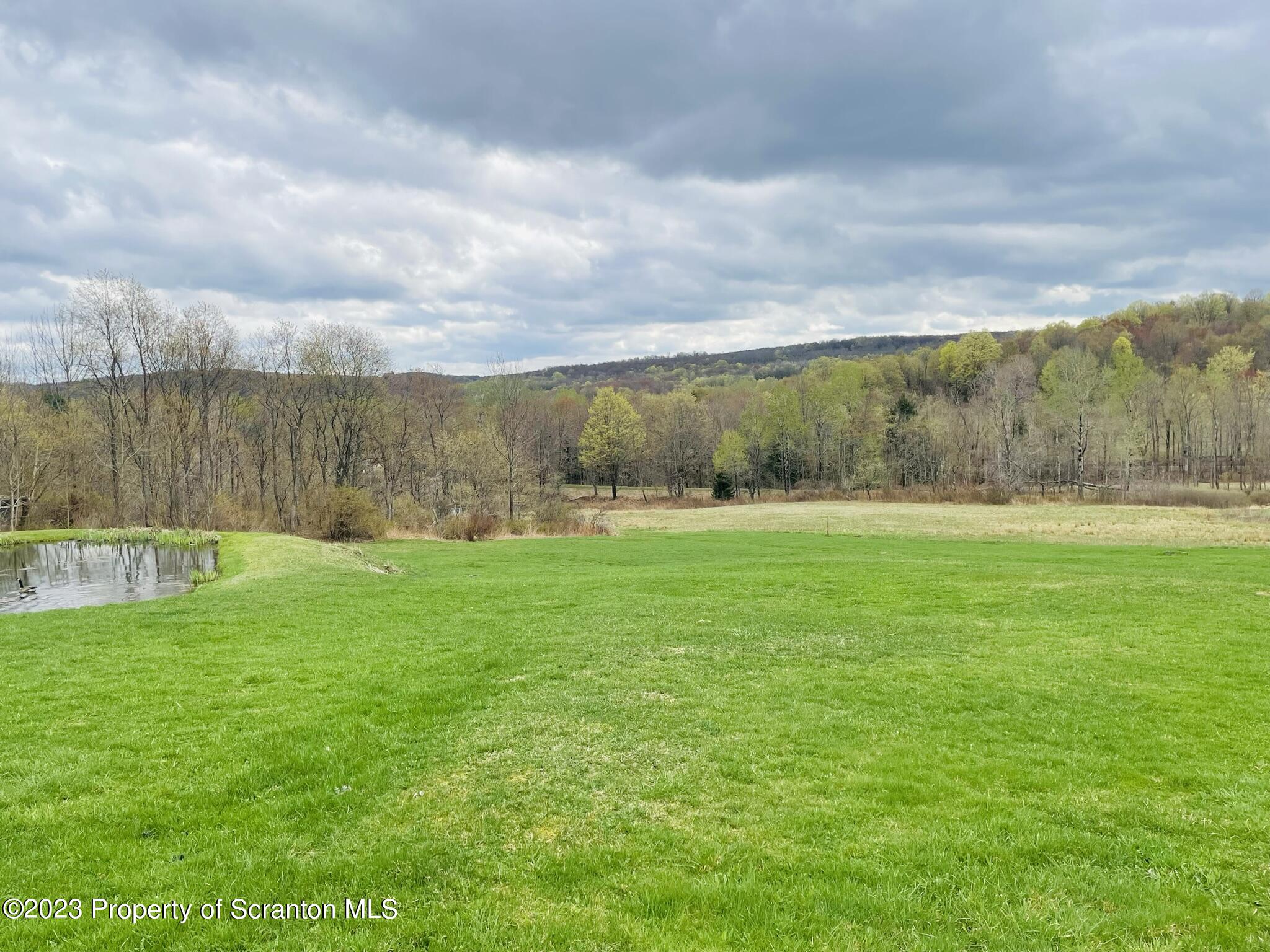176 Stack Road Thompson, PA 18465 - Photo 43 of 53 a view of yard with green field
