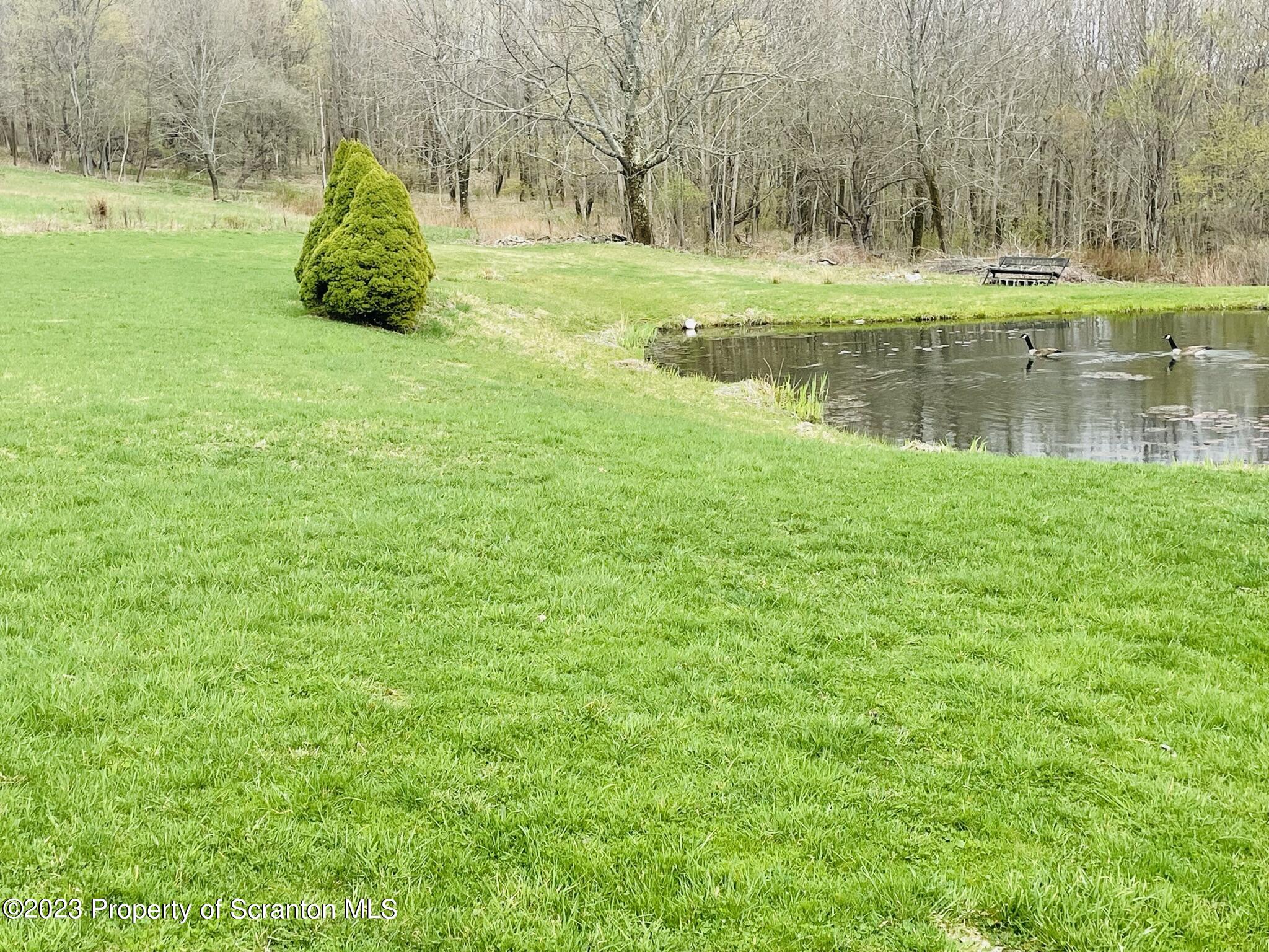 176 Stack Road Thompson, PA 18465 - Photo 44 of 53 a view of a park with large trees
