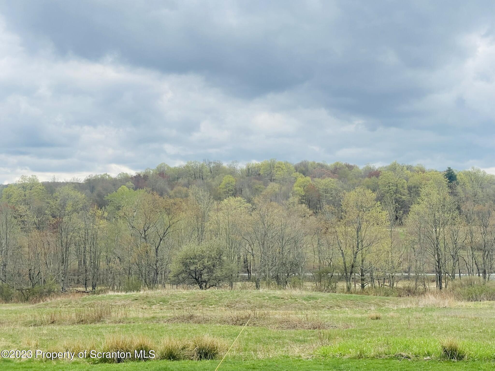 176 Stack Road Thompson, PA 18465 - Photo 46 of 53 a view of a yard
