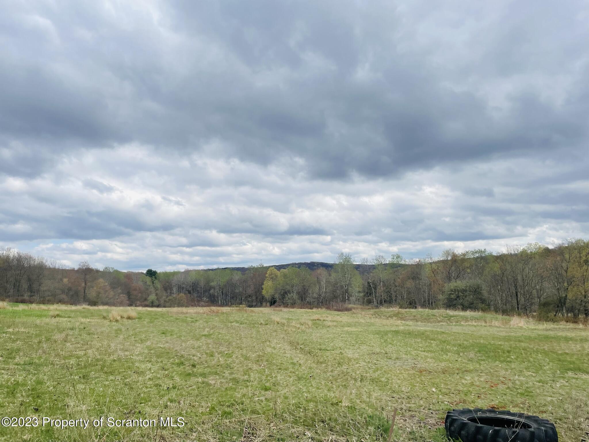 176 Stack Road Thompson, PA 18465 - Photo 48 of 53 a view of an outdoor space and a yard